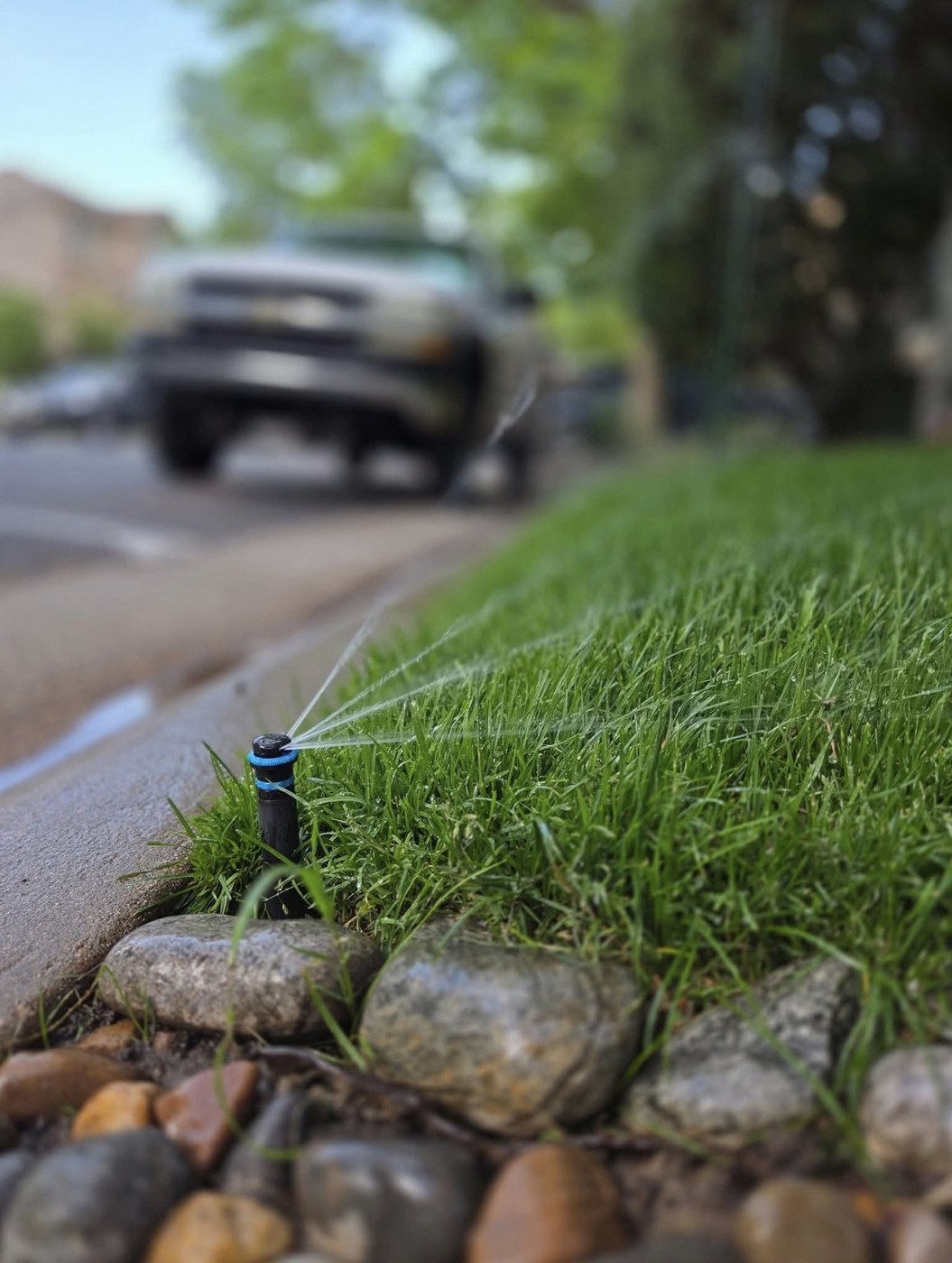Working sprinkler system watering a healthy lawn after repair